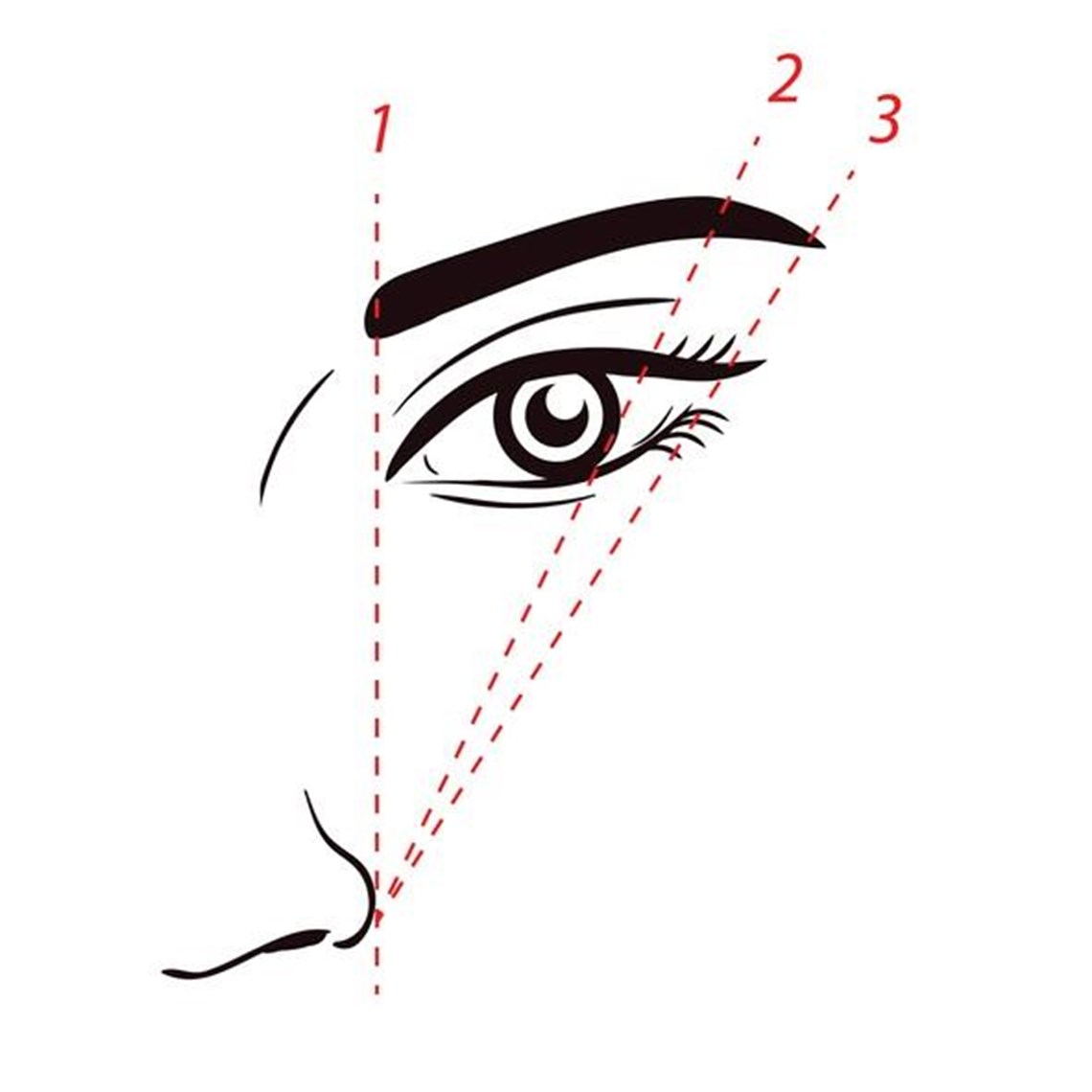 Cómo darle forma a tus cejas